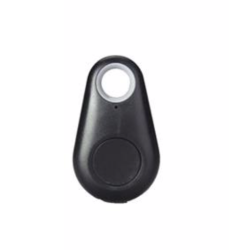 Picture of TopFly TA12 - BLETAG - Bluetooth Driver ID Key Fob.