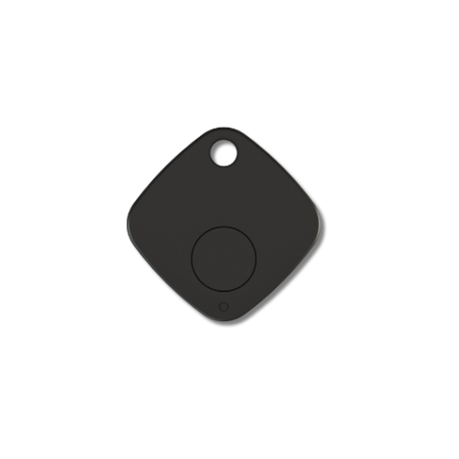 Picture of ABK100 BLE Driver Identification Keyfob